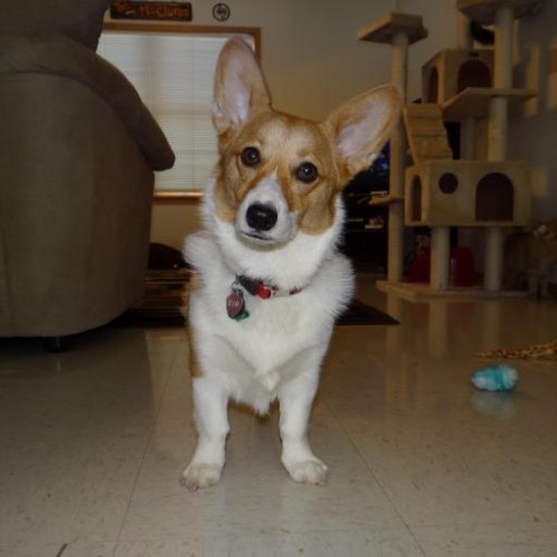 Find Mark E Mcclure Phone Number, Location, Email, and more on Intelius
