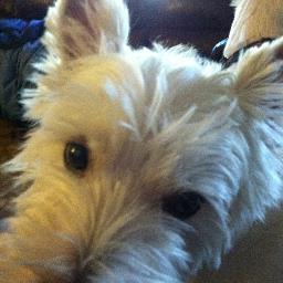 Find Mark R Olson Phone Number, Location, Email, and more on Intelius