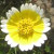 Find Mark Edward Schreiber Phone Number, Location, Email, and more on Intelius
