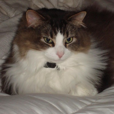 Find Mark Charles Watson Phone Number, Location, Email, and more on Intelius