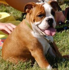 Find Mark Thomas Wiltermuth Phone Number, Location, Email, and more on Intelius