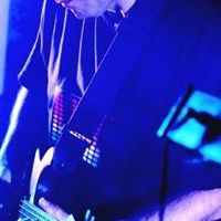 Find Mark Steven Wolfe Phone Number, Location, Email, and more on Intelius