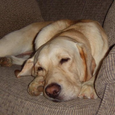 Find Martin J Conway Phone Number, Location, Email, and more on Intelius
