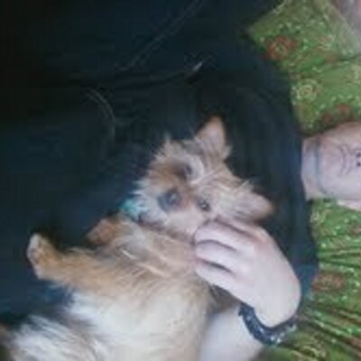 Find Marvin Brandon Prentice Phone Number, Location, Email, and more on Intelius