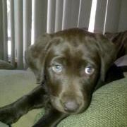 Find Mary Elizabeth Dreiling Phone Number, Location, Email, and more on Intelius