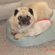 Find Mary Ann Roscoe Phone Number, Location, Email, and more on Intelius