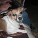 Find Mary Strader Phone Number, Location, Email, and more on Intelius