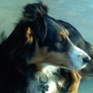 Find Matthew D Balla Phone Number, Location, Email, and more on Intelius