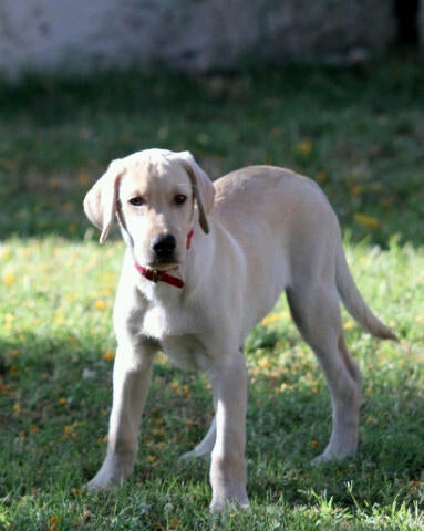 Find Matthew Wallis Benson Phone Number, Location, Email, and more on Intelius