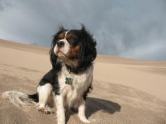 Find Matthew L Morava Phone Number, Location, Email, and more on Intelius