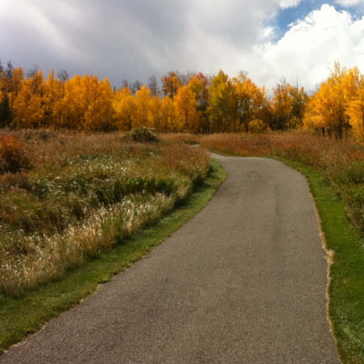 Find Matthew R Olson Phone Number, Location, Email, and more on Intelius