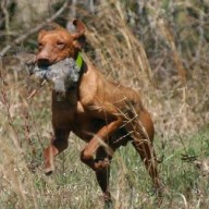 Find Matthew Ross Stone Phone Number, Location, Email, and more on Intelius