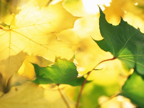 Find Maureen Keegan Dickson Phone Number, Location, Email, and more on Intelius