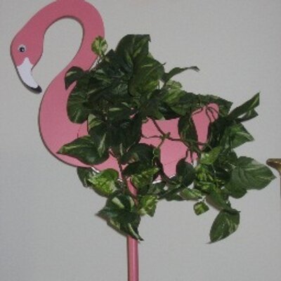 Find Maureen T Ryan Phone Number, Location, Email, and more on Intelius