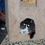 Find Melinda Jean Sauer Phone Number, Location, Email, and more on Intelius