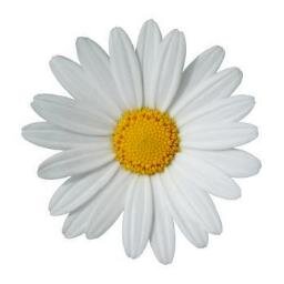 Find Melissa Dawn Bennett Phone Number, Location, Email, and more on Intelius