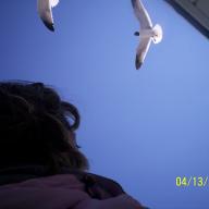 Find Melissa Ann Curtis Phone Number, Location, Email, and more on Intelius