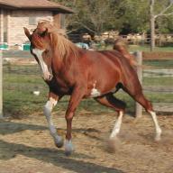 Find Melissa Kay Hatfield Phone Number, Location, Email, and more on Intelius