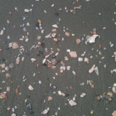 Find Melissa L Johnson Phone Number, Location, Email, and more on Intelius