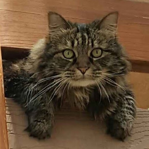 Find Melissa Ann Odonnell Phone Number, Location, Email, and more on Intelius