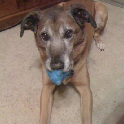 Find Melissa A Veldman Phone Number, Location, Email, and more on Intelius