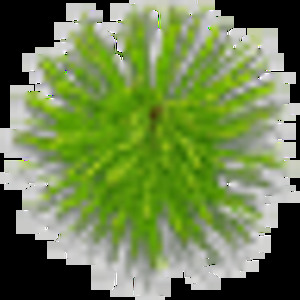 Find Michael R Bakowski Phone Number, Location, Email, and more on Intelius