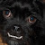 Find Michael W Bradshaw Phone Number, Location, Email, and more on Intelius