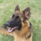 Find Michael Kelly Brett Phone Number, Location, Email, and more on Intelius