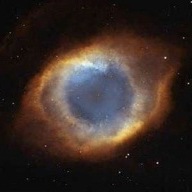 Find Michael Vincent Bucci Phone Number, Location, Email, and more on Intelius
