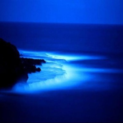 Find Michael John Casey Phone Number, Location, Email, and more on Intelius