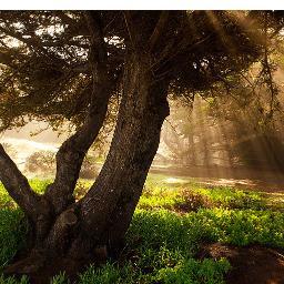 Find Michael S Dalberti Phone Number, Location, Email, and more on Intelius