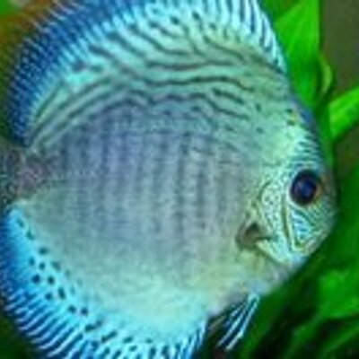 Find Michael C Deegan Phone Number, Location, Email, and more on Intelius