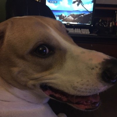 Find Michael J Garcia Phone Number, Location, Email, and more on Intelius