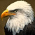 Find Michael Bryan Gerson Phone Number, Location, Email, and more on Intelius