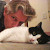 Find Michael S Gill Phone Number, Location, Email, and more on Intelius