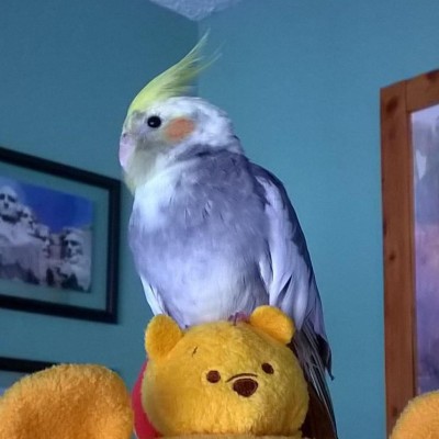 Find Michael R Hubbard Phone Number, Location, Email, and more on Intelius