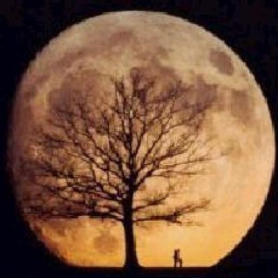 Find Michael J Krall Phone Number, Location, Email, and more on Intelius
