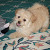 Find Michael Lee Linett Phone Number, Location, Email, and more on Intelius