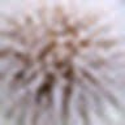 Find Michael Stephen Lussem Phone Number, Location, Email, and more on Intelius