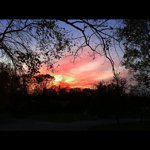 Find Michael A Moore Phone Number, Location, Email, and more on Intelius