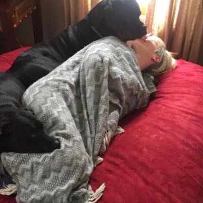 Find Michael James Morris Phone Number, Location, Email, and more on Intelius