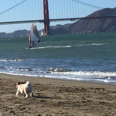 Find Michael J Oconnor Phone Number, Location, Email, and more on Intelius