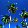 Find Michael Davis Preddy Phone Number, Location, Email, and more on Intelius