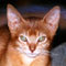 Find Michael Dennis Shaw Phone Number, Location, Email, and more on Intelius