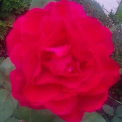 Find Michael A Smith Phone Number, Location, Email, and more on Intelius