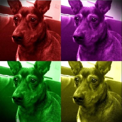 Find Michael E Williams Phone Number, Location, Email, and more on Intelius