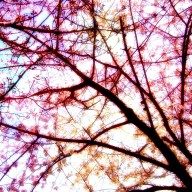 Find Michele Elizabeth Moore Phone Number, Location, Email, and more on Intelius