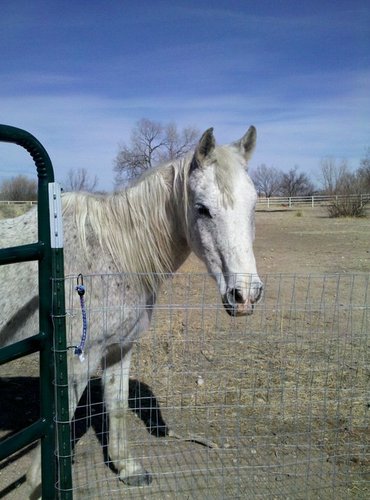 Find Michelle Louise Jackson Phone Number, Location, Email, and more on Intelius
