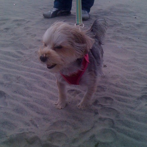 Find Michelle D Stein Phone Number, Location, Email, and more on Intelius