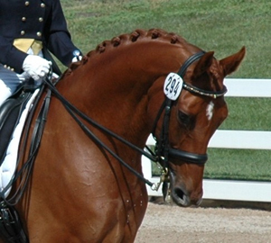 Find Michelle Marie Strobel Phone Number, Location, Email, and more on Intelius